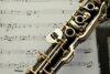 Veranstaltung: Jazz'n Roses-Festival So 15. 06. 2025