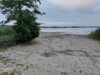 Veranstaltung: Wasser in Brandenburg – ein kostbares Gut So 06.07.2025