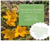 Veranstaltung: Frühlingsmarkt im Haus des Wandels So 27. 04. 2025