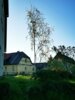 Veranstaltung: Maibaum austellen in Gölsdorf! Mi 30. 04. 2025