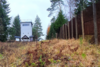 Veranstaltung: Zeitreise und Grenzblicke Hopfsberg Sa 26. 04. 2025