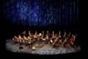 Kammersymphonie Berlin, Foto: MUSIKPODIUM Kammersymphonie Berlin, Foto: MUSIKPODIUM