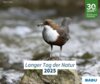 Wasseramsel