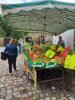 Foto zur Veranstaltung Sommermarkt auf der Wasserburg Egeln
