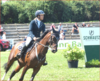 Veranstaltung: 18. Großes Bautzener Reitturnier startet im Reitstadion Baschütz 25.  -  27. Jul 2025