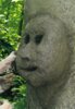 Veranstaltung: Ferienprogramm im Museum Reichenfels 08.  -  17. Jul 2025