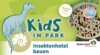 Kids im Park: Kreativ-Werkstatt – Wir basteln ein Insektenhotel Kids im Park: Kreativ-Werkstatt – Wir basteln ein Insektenhotel