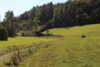 Veranstaltung: Mit den Geoparkrangern unterwegs: Vom Plankenstein zum Wachstein - eine Seereise durch das Jurameer So 17.​08.​2025