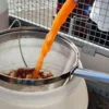 Veranstaltung: Obstpresstag Mi 23.​09.​2026