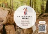 Veranstaltung: Spaziergeh-Treff Mo 10.​08.​2026