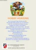 Veranstaltung: Aktion - Hobby Horsing Fr 08.05.2026