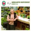 Veranstaltung: VORTRAG: Kr&auml;uter und &auml;therische &Ouml;le &ndash;  wie sie uns helfen k&ouml;nnen Do 18.06.2026