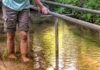 Veranstaltung: Anwassern mit dem Kneipp-Verein Thal e.V. Sa 30.​05.​2026