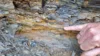 Veranstaltung: Ganztagsexkursion "Geotope als Zeugen der variszischen Gebirgsbildung" Sa 23.​05.​2026