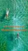 Veranstaltung: Schwimmkurs im Waldbad Wehrsdorf 01. – 30.08.2026