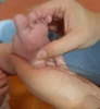 Veranstaltung: Babymassage mit Hebamme Andrea Janke Di 25.​08.​2026