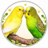 Veranstaltung: Vogelausstellung 17. – 18.10.2026