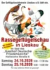 Veranstaltung: Rassegefl&uuml;gelschau So 25.​10.​2026