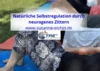 Veranstaltung: TRE Neurogenes Zittern lernen (Online-Kurs) Di 12.​01.​2027