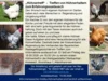 Veranstaltung: "H&uuml;hnertreff" - Treffen von H&uuml;hnerhaltern zum Erfahrungsaustauscch Fr 18.​09.​2026