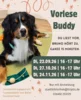 Veranstaltung: Vorlesehund Bruno, Lesen mit dem Therapiehund Di 24.​11.​2026