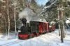Veranstaltung: Weihnachtsmannfahrten 05. – 06.12.2026