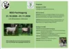 BDZ Fachtagung Flyer
