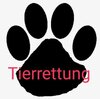 Feuerwehreinsatz: THL 1