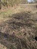 Feuerwehreinsatz: Flächenbrand