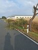 Feuerwehreinsatz: Hilfeleistung