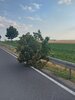 Feuerwehreinsatz: Hilfeleistung