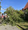 Feuerwehreinsatz: THL/Baum