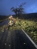 Feuerwehreinsatz: 08/2023 THL 1