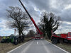Feuerwehreinsatz: LKW Unfall