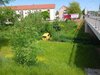 Feuerwehreinsatz: THL 1
