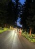 Feuerwehreinsatz: THL - Baum auf Straße