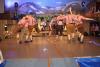 Foto vom Album: Auf der Alm da gibt&#039;s koa Sünd 2016