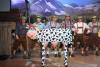 Foto vom Album: Auf der Alm da gibt&#039;s koa Sünd 2016