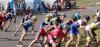 Foto vom Album: Weinberg-Cup Meißen 2016