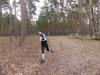 Foto vom Album: 1. Lauf 35. LLG-CLS 2017