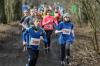 Foto vom Album: 1. Lauf 35. LLG-CLS 2017