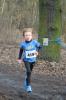 Foto vom Album: 1. Lauf 35. LLG-CLS 2017