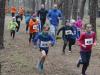Foto vom Album: 2. Lauf der 35. CLS 2017