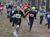 Foto vom Album: 2. Lauf der 35. CLS 2017