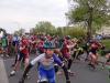 Foto vom Album: 21. Großenhainer Halbmarathon 2017