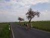 Foto vom Album: 21. Großenhainer Halbmarathon 2017
