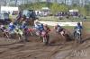 Foto vom Album: LM MX1