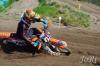 Foto vom Album: LM MX1
