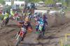 Foto vom Album: LM MX1