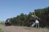 Foto vom Album: LVMX Quad